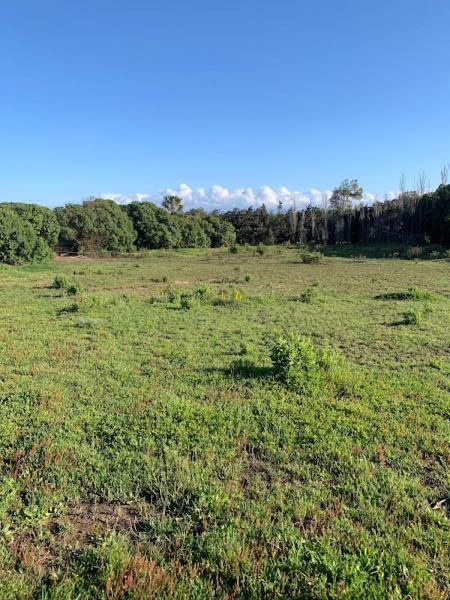 Finca Dos Vientos Tarifa Exteriér fotografie